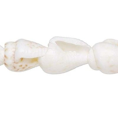 Little Natural Genuine Nassa Tiger Whole Shell Seashell Beads Bleached White~Sold Individually
