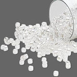 Little Miyuki Delica Transparent 11/0 Round Glass Seed Beads~Sold in 5 Gram Increments