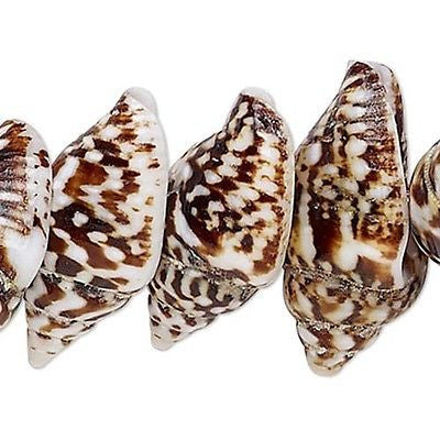 Little Natural Genuine Brown & Beige Nassa Tiger Whole Shell Seashell Beads~Sold Individually